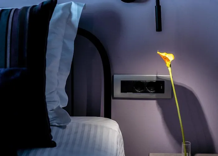 ベッド・アンド・ブレックファスト Aethra Boutique